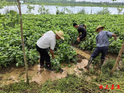 点赞！堤坝上的“土专家”数载坚守保安澜