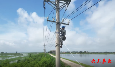 照亮防汛守堤路嘉鱼东湖围堤全线亮灯！