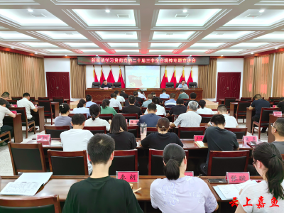 新街镇举行学习贯彻党的二十届三中全会精神专题宣讲会