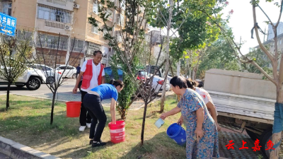 鱼岳镇西街社区：呵护绿植 清凉一夏