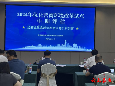 嘉鱼“经营主体高质量发展培育机制”在全省优化营商环境改革试点中期评估会上获肯定