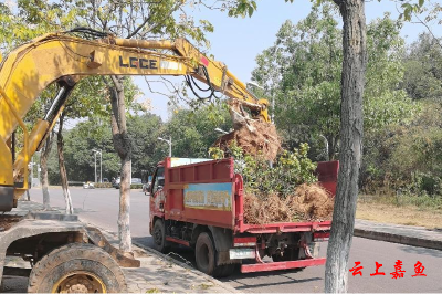 县园林局：保洁维护扮靓雄风台