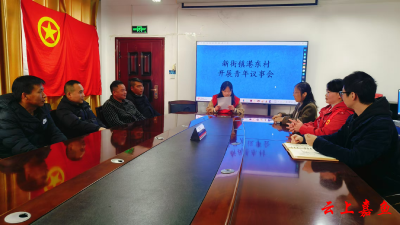 新街镇港东村召开青年议事会