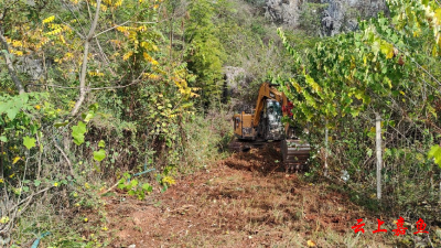 高铁岭镇：建立森林防火隔离带 共筑绿色安全屏障