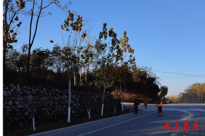 高铁岭镇九龙村：环境整治焕新颜 美丽乡村入画来