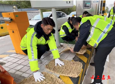 湖北交投京珠运营公司：未雪绸缪 全力保障冬季道路安全畅通