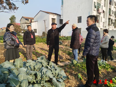 鱼岳镇：沟渠整治工程见证全过程人民民主实践