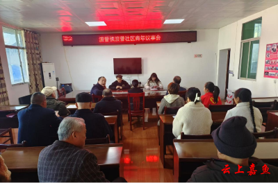 渡普镇渡普社区召开第一次青年议事会