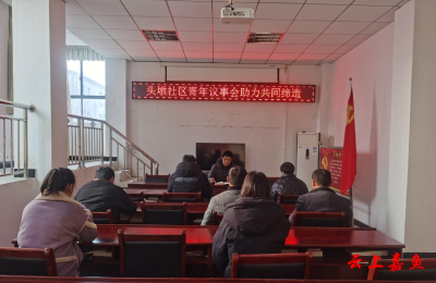 潘家湾镇头墩社区召开青年议事会