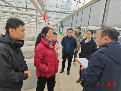 市科技局与市统计局来嘉调研科技创新与统计工作