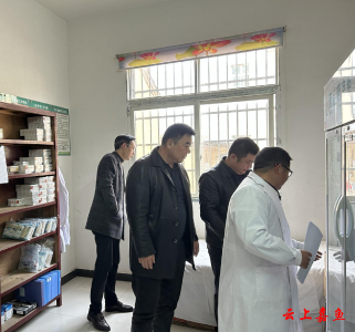 县卫健局开展健康帮扶工作评估考核专项督查