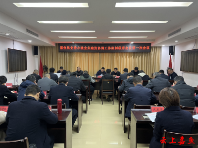 嘉鱼县支持小微企业融资协调工作机制联席会议第一次会议召开