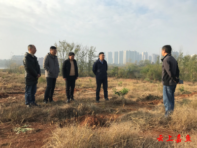 县领导调研督导林长制、河湖长制工作