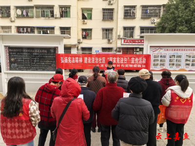 鱼岳镇小湖社区举办“国家宪法日”宣传活动