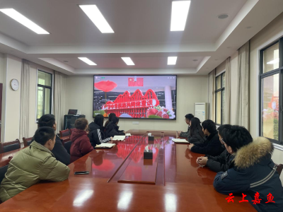 高铁岭镇集中观看“全国民族团结进步模范事迹报告会”网上直播