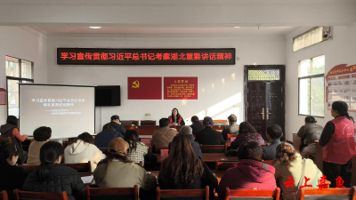 鱼岳镇北街社区深入学习贯彻习近平总书记考察湖北重要讲话精神