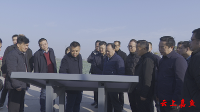 武汉市东西湖区考察团来我县考察调研