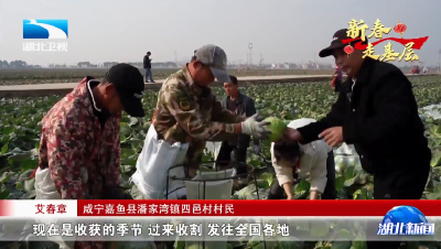 家住长江边·记者返乡见闻 | 在总书记牵挂的村庄里过大年！