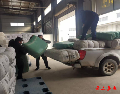 县应急管理局开展冬春救助活动