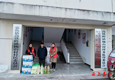 团县委联合县义工协会开展春节慰问活动