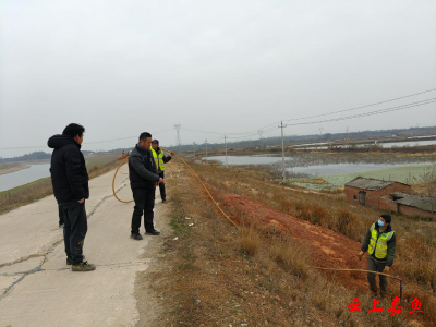 陆溪镇强化堤防白蚁防治筑牢防洪安全屏障