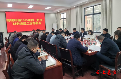 高铁岭镇召开村（社区）财务清理工作部署会