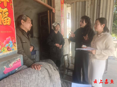 高铁岭镇：扎实开展新增低保入户核查