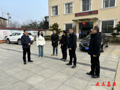 县领导到陆溪镇调研移风易俗工作