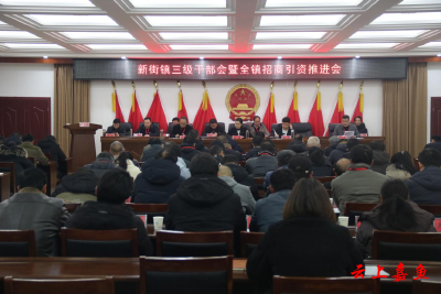 【落实全县三级干部大会精神】新街镇：聚焦全年目标 全力以赴拼招商、拼项目、拼经济