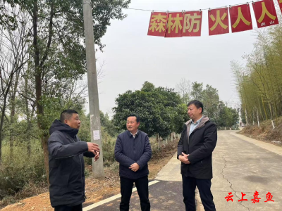 县领导督查森林防火与安全生产工作