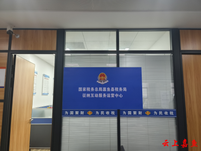 线上互联 跨地服务 嘉鱼县税务局征纳互动助力高效服务