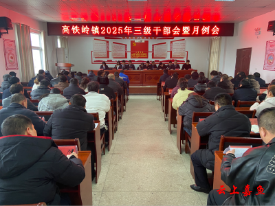 【落实全县三级干部大会精神】高铁岭镇：构建“211”现代化产业体系 推进转型升级 跨越发展