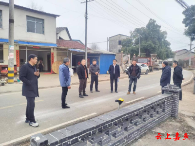 高铁岭镇精心谋划八斗角中心村和美乡村建设项目