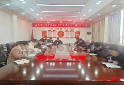 嘉鱼县委巡察机构：做足“巡前”文章 凝心聚力开新局