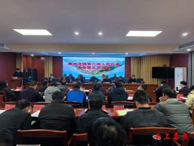 簰洲湾镇加快打造武嘉融合发展“桥头”示范区  