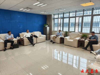 嘉鱼县医保局与武汉大学中南医院嘉鱼医院开展信息化建设专题会商