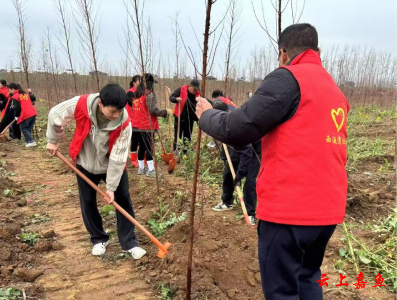 簰洲湾镇西流湾社区团支部开展植树节活动