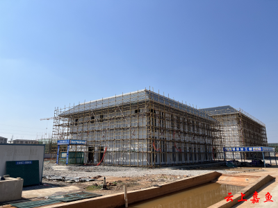 【实施产业倍增 聚焦支点建设】官桥镇卫生院整体搬迁项目已进入室内装修阶段