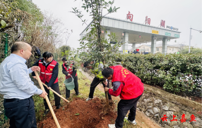 春风植绿正当时 路域焕新展新颜