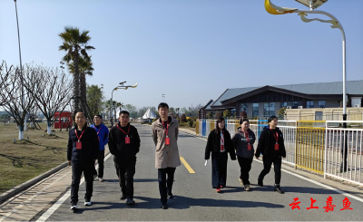 陆溪镇人大组织第四代表小组开展代表行动