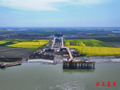 【实施产业倍增 聚焦支点建设】春日奋进！汉南长江大桥主墩即将进入地上结构施工阶段