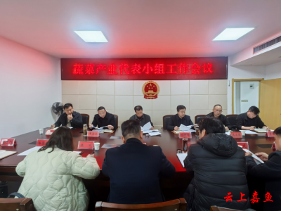 深耕城乡“菜篮子” 情系“三农”促发展——嘉鱼县人大常委会蔬菜产业代表小组正式成立