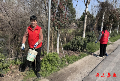 官桥镇舒桥社区：净化家园 “美”在日常