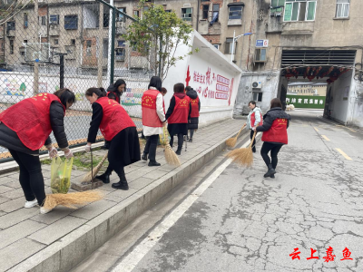 鱼岳镇西街社区：三月吹响雷锋哨 社区清扫我报到