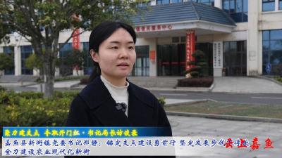 嘉鱼县新街镇党委书记郑静：  锚定支点建设勇前行 坚定发展步伐不停歇  全力建设农业现代化新街