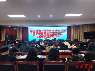 簰洲湾镇召开代表行动动员部署暨代表履职能力培训会