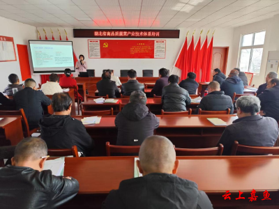 科技闹春耕省市农技专家在嘉开展蔬菜绿色高效生产技术培训