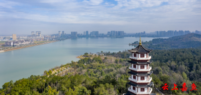 牛头山森林公园：鸟语花香春意浓