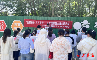 鱼岳镇小湖社区开展“国家安全，人人有责”主题公共宣传活动