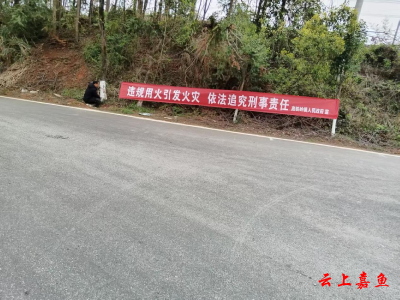 高铁岭镇九龙村：开展森林防火宣传 筑牢安全“防火墙”